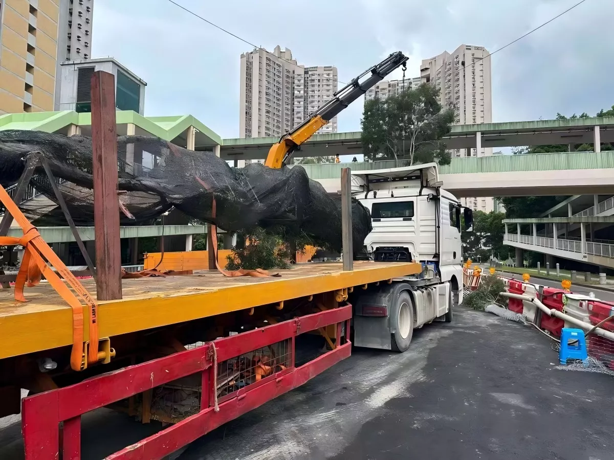 工程項目運輸案例