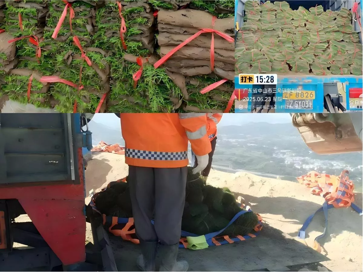 香港堆填區草皮運輸